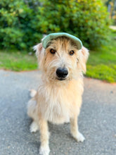 Load image into Gallery viewer, Corduroy Baseball Hats
