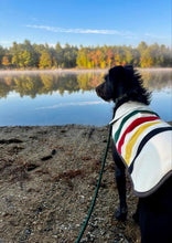 Load image into Gallery viewer, Pendleton Pet Dog Coats
