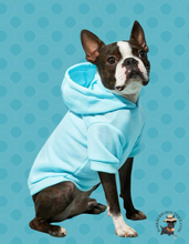 Load image into Gallery viewer, Baby Blue Pet Hoodie
