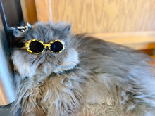 Load image into Gallery viewer, Pet Sunglasses: X-Small-Medium sized
