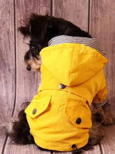 Load image into Gallery viewer, Paddington Bear Iconic Raincoat
