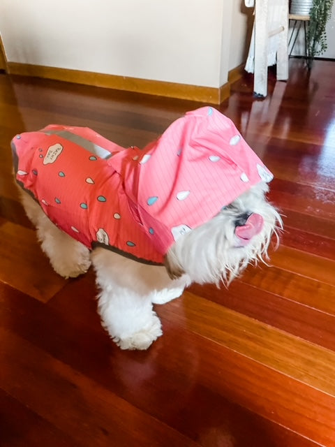 Rain & Clouds Pink Raincoat!