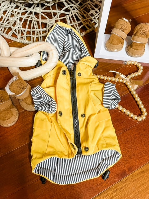 Paddington Bear Iconic Raincoat