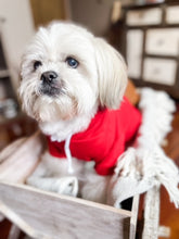 Load image into Gallery viewer, Solid Red Pet Hoodie
