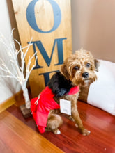 Load image into Gallery viewer, Red Fur-Trimmed Designer Harness Coat - Red
