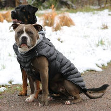Load image into Gallery viewer, Alpine Extreme Puffer Dog Coat-Black
