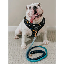 Load image into Gallery viewer, Dog Rope Leash - Romeo
