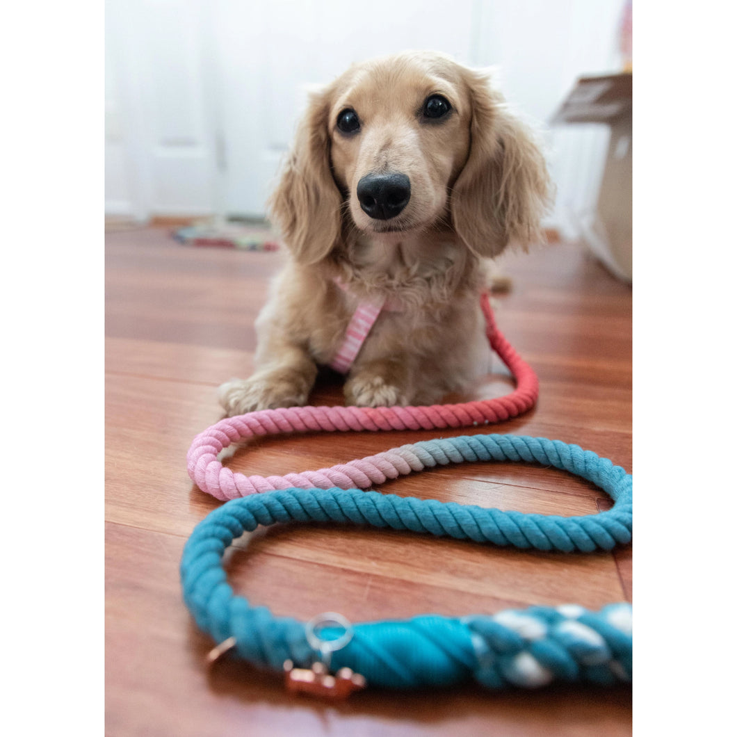 Dog Rope Leash - Jack & Jill
