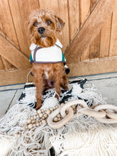 Load image into Gallery viewer, Pendleton Pet National Park Dog Coats
