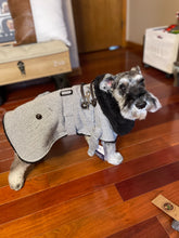 Load image into Gallery viewer, Grey Herringbone Designer Harness Coat and Matching Leash
