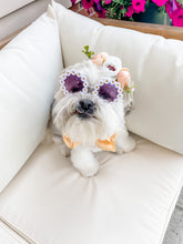 Load image into Gallery viewer, Pet Sunglasses: Large &amp; X-Large Sizes
