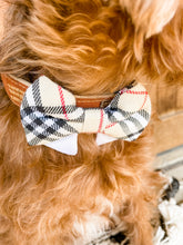Load image into Gallery viewer, Bow Ties: Slide on Collar Design
