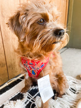 Load image into Gallery viewer, Wrap and Snap Choke Free Dog Harness Red Tahiti
