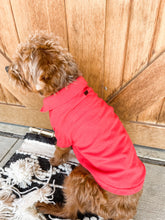Load image into Gallery viewer, Solid Embroidered Dog Polos

