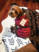 Load image into Gallery viewer, Alpine Extreme Weather Puffer Coat - Burgundy
