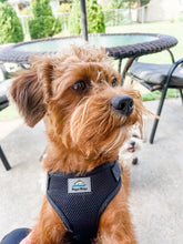 Load image into Gallery viewer, Doggie Design USA Black Harness
