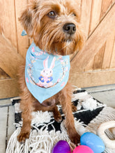 Load image into Gallery viewer, Assortment Easter Bandanas
