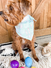 Load image into Gallery viewer, Assortment Easter Bandanas
