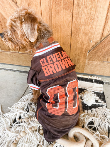 browns jersey dog
